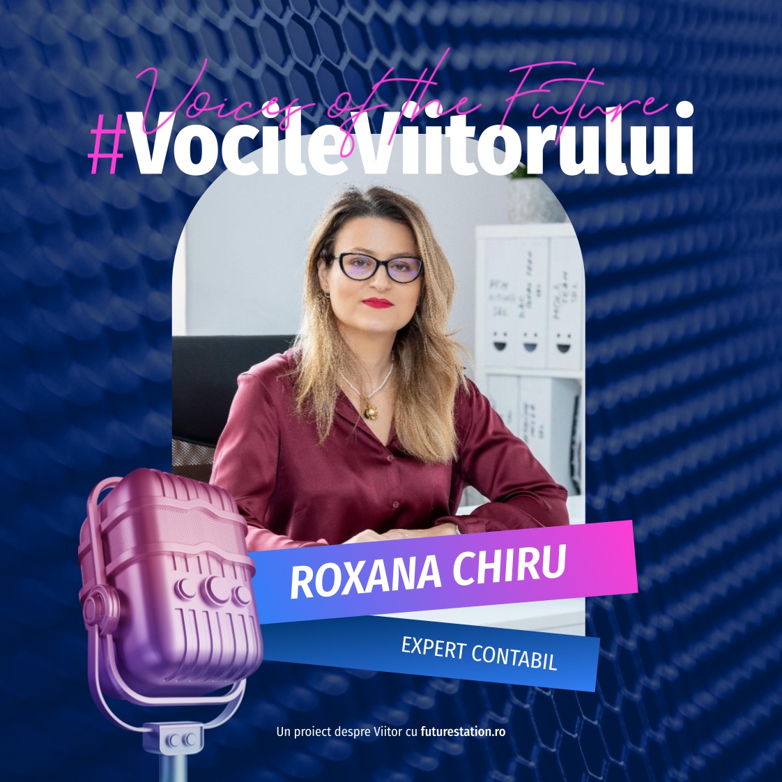 vocile viitorului roxana chiru expert contabil
